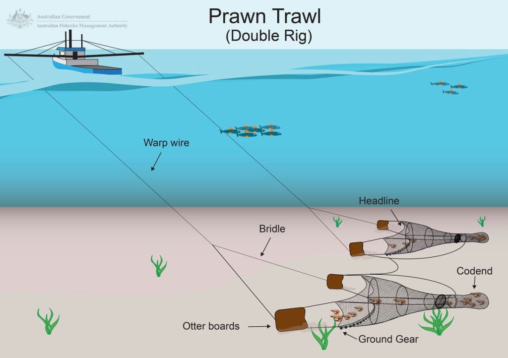 Trawling Sustainability Depths Of Responsible Fishing Seafood Peddler